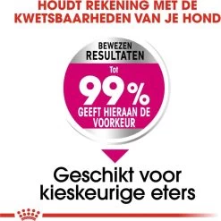 Royal Canin Ccn Exigent Mini - Hondenvoer - 1 Kg -Katten Hondenbenodigdheden Winkel 1199x1200 6