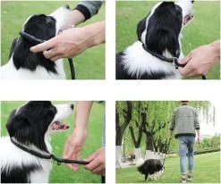 LOUZIR Cesar Millan Sliplijn Met Stop - Hondenriem - Rood - 130 Cm -Katten Hondenbenodigdheden Winkel 1200x1003