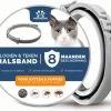 Vlooienband Kat - Vlooien Teken - Anti Tekenmiddel - Anti Teken - Diervriendelijk -Katten Hondenbenodigdheden Winkel 1200x1011 5