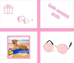 Pepets© – Hondenhanddoek – Honden Handdoek – Microvezel Handdoek – Handdoek Hond – Hondendeken – Droogdoek Hond – Dierendeken – Absorberend – 100*50CM - Beige - GRATIS Zonnebril -Katten Hondenbenodigdheden Winkel 1200x1018