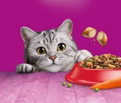 Whiskas 1+ Kattenbrokken - Rund - Doos 5 X 950 G -Katten Hondenbenodigdheden Winkel 1200x1019 3