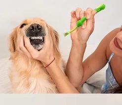 Merkloos Tandenborstel - Voor Huisdieren - Honden - 3 Zijdig - Multi-Hoek - Schoonmaken - Tanden - Slechte Adem - Tandsteen - Tandenborstel - Gezondheid - Blauw -Katten Hondenbenodigdheden Winkel 1200x1042