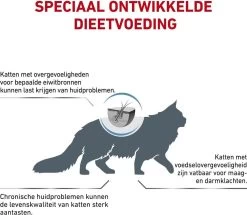 Royal Canin Anallergenic Kattenvoer 4 Kg 12 Royal Canin Anallergenic Kattenvoer 4 Kg -Katten Hondenbenodigdheden Winkel 1200x1045 1