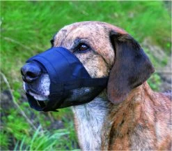 Trixie Muilkorf Polyester Met Gaas Inzet Zwart (M 19-26 CM) -Katten Hondenbenodigdheden Winkel 1200x1047 3