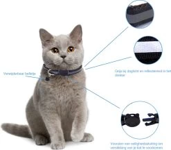 Kattenhalsband Veiligheidssluiting Kattenbandje Kitten Halsband Katten Halsband Reflecterend Verstelbaar 18-32Cm – Zwart -Katten Hondenbenodigdheden Winkel 1200x1047 4