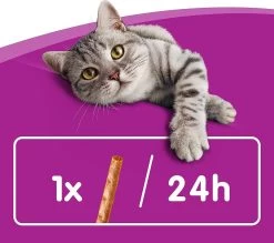 Whiskas Sticks Kattensnack - Zalm - 14 X 6 Stuks -Katten Hondenbenodigdheden Winkel 1200x1064 6