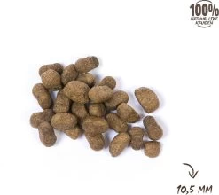 VITALstyle ADULT - Hondenbrokken - 12 Kg 14 VITALstyle ADULT - Hondenbrokken - 12 Kg -Katten Hondenbenodigdheden Winkel 1200x1067 2