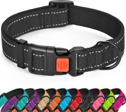 Halsband Hond - Reflecterend - Zwart - Maat M - Oersterk - Waterdicht - Hondenhalsband - Met Veiligheidssluiting - Geschikt Voor Iedere Hondenriem - Voor Middelgrote Honden