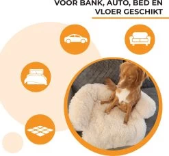 Origineel Hondendeken Voor Bank M – Hondenkleed Fluffy – Pluche Hondenbed - Hondenmand Premium - Volledig Afritsbaar - Beige -Katten Hondenbenodigdheden Winkel 1200x1107 4