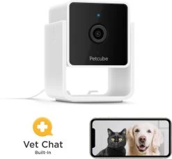 Petcube Pet Camera 1080p Hd Video Night Vision - IP Camera's - Wit -Katten Hondenbenodigdheden Winkel 1200x1111