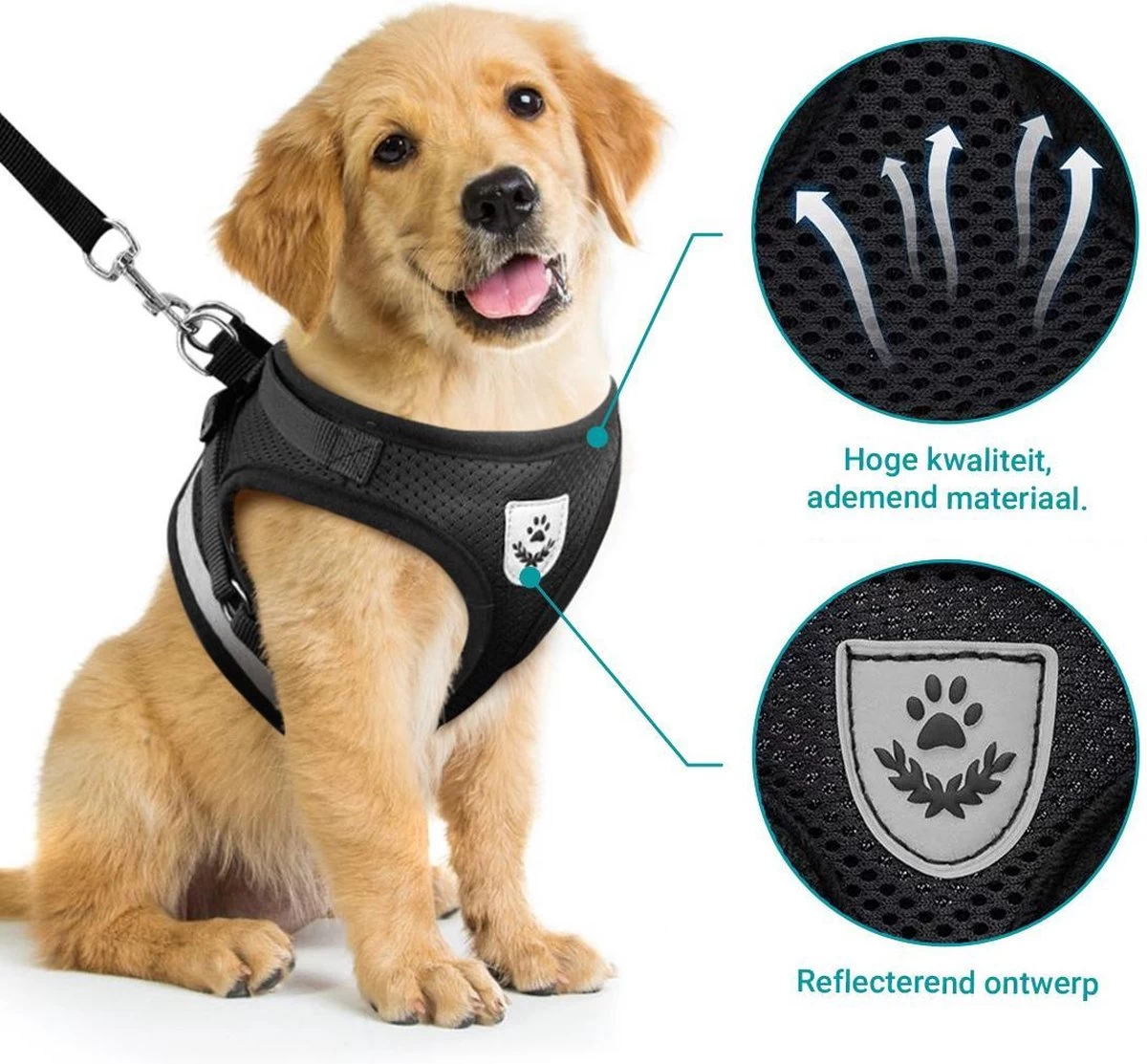 Hondentuig, Hondenharnas Met Hondenriem – Reflecterend - Zwart – Maat S (borst 30-35 Cm) 7 Hondentuig, Hondenharnas Met Hondenriem – Reflecterend - Zwart – Maat S (borst 30-35 Cm) - Afbeelding 5