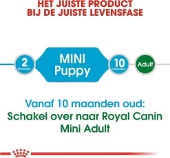 Royal Canin Mini Junior 8 KG -Katten Hondenbenodigdheden Winkel 1200x1116 4