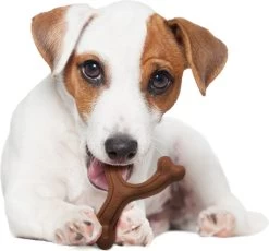 Nylabone Extreme Kauwbot Vorkbeen - Voor De Krachtigste Kauwers - Bizon Of Kipsmaak - S/M/L - Smaak: Bizon, Maat: Large -Katten Hondenbenodigdheden Winkel 1200x1117 6