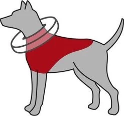 PetPetrol Opblaasbare Hondenkraag - Opblaasbare Kraag Hond - Beschermkraag Opblaasbaar Voor Honden/katten - Blauw - Large -Katten Hondenbenodigdheden Winkel 1200x1120