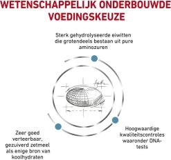 Royal Canin Anallergenic Kattenvoer 4 Kg 14 Royal Canin Anallergenic Kattenvoer 4 Kg -Katten Hondenbenodigdheden Winkel 1200x1125 4