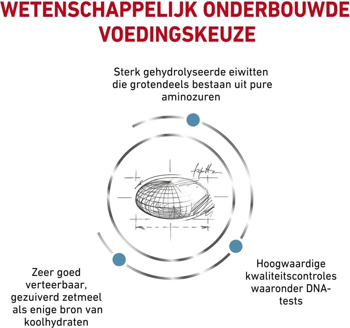 Royal Canin Anallergenic Kattenvoer 4 Kg 7 Royal Canin Anallergenic Kattenvoer 4 Kg - Afbeelding 5