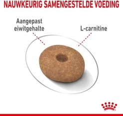Royal Canin Mini Light 8 KG -Katten Hondenbenodigdheden Winkel 1200x1128 1
