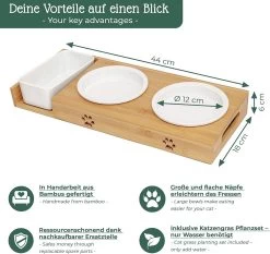 Pfotenolymp® Voederstation Met Kattengras Voor Katten - Porseleinen Kattenbak/Voedingsbak - Verhoogde Kom Set Met Kattengrasbak - Voerbak Hoog 12 Pfotenolymp® Voederstation Met Kattengras Voor Katten - Porseleinen Kattenbak/Voedingsbak - Verhoogde Kom Set Met Kattengrasbak - Voerbak Hoog -Katten Hondenbenodigdheden Winkel 1200x1133 2