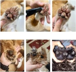 Merkloos Premium Tondeuse Voor Honden Of Katten - Dierentondeuse Oplaadbaar - Ook Bij Tenen, Ogen & Oren - Draadloze Haartrimmer -Katten Hondenbenodigdheden Winkel 1200x1139 2