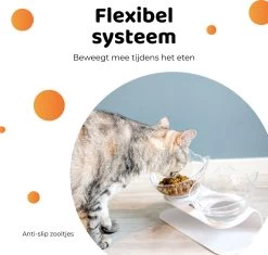 ACE Pets Ergonomische Voerbak Kat - Kattenvoerbakjes - Drinkbak Kat - Kat Voerbak 16 ACE Pets Ergonomische Voerbak Kat - Kattenvoerbakjes - Drinkbak Kat - Kat Voerbak -Katten Hondenbenodigdheden Winkel 1200x1141