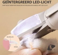 PETKIT® Professionele Dieren Nagelknipper - Nagelknipper Hond - Met LED - Met Vijl - Nageltang 16 PETKIT® Professionele Dieren Nagelknipper - Nagelknipper Hond - Met LED - Met Vijl - Nageltang -Katten Hondenbenodigdheden Winkel 1200x1143 6