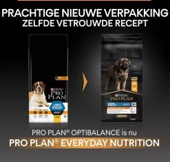 Pro Plan Everyday Nutrition Large Robust Adult - Honden Droogvoer - Kip - 14 Kg -Katten Hondenbenodigdheden Winkel 1200x1145 5