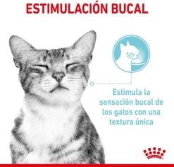 Royal Canin Sensory Multipack Mix - In Gravy - Kattenvoer - 12x85 G -Katten Hondenbenodigdheden Winkel 1200x1146 15