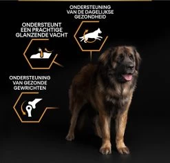 Pro Plan Everyday Nutrition Large Robust Adult - Honden Droogvoer - Kip - 14 Kg -Katten Hondenbenodigdheden Winkel 1200x1146 5