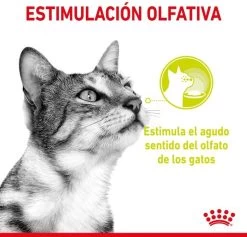 Royal Canin Sensory Multipack Mix - In Gravy - Kattenvoer - 12x85 G -Katten Hondenbenodigdheden Winkel 1200x1153 11