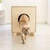 Catandwood Kattenhuis - Kattenbakcontainer - Kattenbak Ombouw - Hout -Katten Hondenbenodigdheden Winkel 1200x1153 12