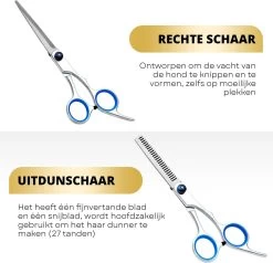 BeautyFit - 16-delig Hondentondeuse Set - Professionele Honden Trimset - Dieren Tondeuse Voor Dikke Vacht - Meest Complete Set - Inclusief 4 Opzetkammen - Hondenschaar - Mist Verstuiver - Handschoen Borstel - Nagelknipper -Katten Hondenbenodigdheden Winkel 1200x1157 2