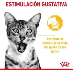 Royal Canin Sensory Multipack Mix - In Gravy - Kattenvoer - 12x85 G -Katten Hondenbenodigdheden Winkel 1200x1157 5