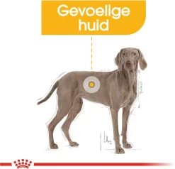 Royal Canin Dermacomfort Maxi - Hondenvoer - 12 Kg -Katten Hondenbenodigdheden Winkel 1200x1158 1