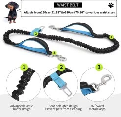 BOTC Looplijn Hond Met Heupriem Voor Hardlopen - Met Drinkbak Hond - Hondenriem - 1 Roll Poep Zakjes - Zwart 21 BOTC Looplijn Hond Met Heupriem Voor Hardlopen - Met Drinkbak Hond - Hondenriem - 1 Roll Poep Zakjes - Zwart -Katten Hondenbenodigdheden Winkel 1200x1159 2