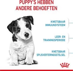 Royal Canin Mini Junior 8 KG -Katten Hondenbenodigdheden Winkel 1200x1159 5