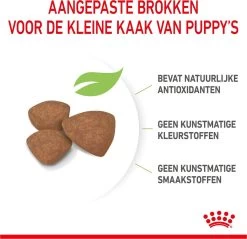 Royal Canin Mini Junior 8 KG -Katten Hondenbenodigdheden Winkel 1200x1159 7
