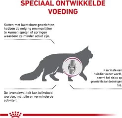 Royal Canin Mobility - Kattenvoer - 2 Kg -Katten Hondenbenodigdheden Winkel 1200x1161 14