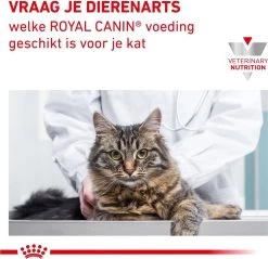 Royal Canin Diabetic - Kattenvoer - 3,5 Kg -Katten Hondenbenodigdheden Winkel 1200x1161 16