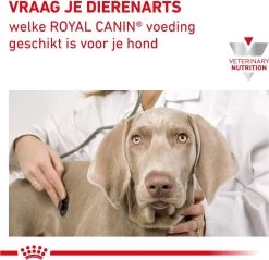Royal Canin Hepatic Diet - Hondenvoer - 12 Kg -Katten Hondenbenodigdheden Winkel 1200x1161 4