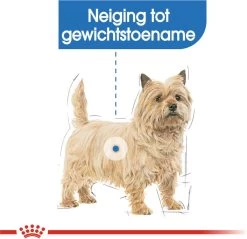 Royal Canin Mini Light 8 KG -Katten Hondenbenodigdheden Winkel 1200x1161 7