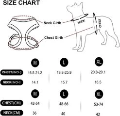 *** Katy`s Kattentuigje Zwart Maat M Met Looplijn - Kleine Hond - Kattenharnas - Honden Harnas - Kattenriem - Uitlaten - Van Heble® *** -Katten Hondenbenodigdheden Winkel 1200x1162 12