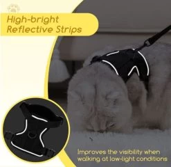 Nobleza Kattenharnas M Reflecterend Zwart Met Riem -Katten Hondenbenodigdheden Winkel 1200x1166 6