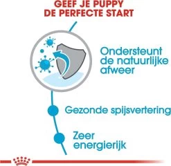 Royal Canin Mini Junior 8 KG -Katten Hondenbenodigdheden Winkel 1200x1168 5