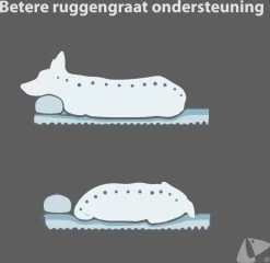 PETKIT® Deep Sleep Bed - Hondenmand - Kattenmand - Memory Foam - Orthopedisch - Maat M -Katten Hondenbenodigdheden Winkel 1200x1168 7