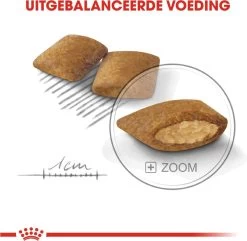 Royal Canin Ccn Exigent Mini - Hondenvoer - 1 Kg -Katten Hondenbenodigdheden Winkel 1200x1169 1