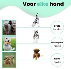 Petloverz – Honden Speelgoed Set – Honden Speeltjes – Knuffel - Speelgoed – Intelligentie – 15 Speeltjes -Katten Hondenbenodigdheden Winkel 1200x1170