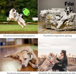 Filo Honden Speelgoed Set 14 Stuks - Hondenspeeltjes Knuffel - Hondenbal - Flostouw - Bot - Frisbee - Hondentouw - Hondenspeelgoed Intelligentie - Kauwspeelgoed Hond En Puppy - Bijtspeelgoed Hondenknuffel - Hondenspeeltje Met Piep -Katten Hondenbenodigdheden Winkel 1200x1171 1