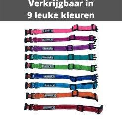 Halsband Hond - Reflecterend - Zwart - Maat M - Oersterk - Waterdicht - Hondenhalsband - Met Veiligheidssluiting - Geschikt Voor Iedere Hondenriem - Voor Middelgrote Honden -Katten Hondenbenodigdheden Winkel 1200x1171 2