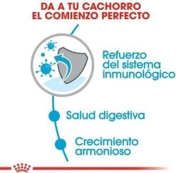 Royal Canin Mini Junior 8 KG -Katten Hondenbenodigdheden Winkel 1200x1180 3