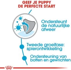 Royal Canin Giant Junior 15 KG 21 Royal Canin Giant Junior 15 KG -Katten Hondenbenodigdheden Winkel 1200x1180 6